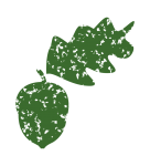 Acorn And Leaf