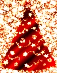 Christmas Tree 2019 4