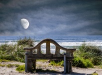 Bench By Sea And Moon