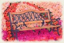 Bench In Flowers