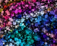 Bokeh Lights Background Abstract