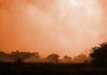 Bush Fire In Sepia Tones In Africa