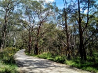 Bushland Trail