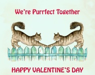 Cats Valentine Card