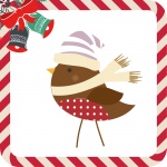 Christmas Bird Illustration