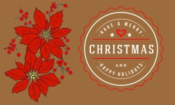 Christmas Card With Poinsettias