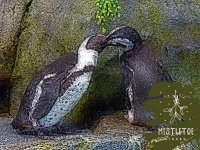 Christmas Mistletoe Penguins
