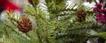 Christmas Pine And Pinecone