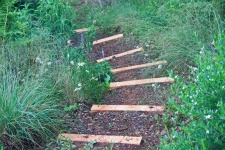 Crude Steps In A Country Garden