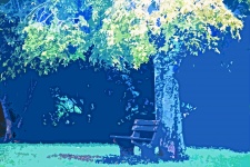 Cutout Image Of Bench Under Tree