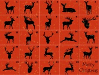 Deer Advent Calendar