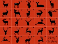 Deer Advent Calendar