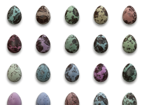 Eggs Easter Bird Egg Isolated
