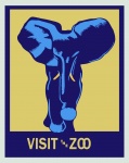 Elephant Zoo Poster