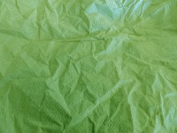 Green Crumpled Paper