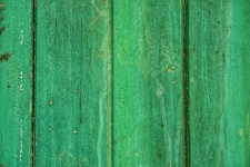 Green Wooden Texture.