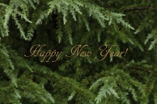 Happy New Year Fir Tree Background