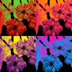 Four Squares Of Flowers