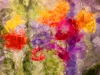 Abstract Flower Bouquet