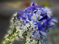 Purple Iris Bouquet