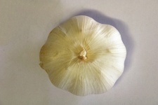Isolated Garlic From Top View