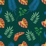 Leaves Tropical Palms, Ferns