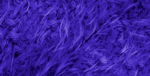 Lilac Fluffy Wool Background