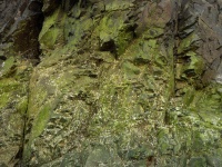 Mossy Rocks