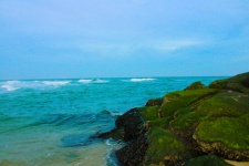 Ocean Shore