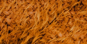 Orange Fluffy Wool Background