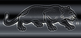 Panther - 2