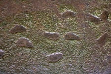 Patterns And Shapes In Layer Of Mud