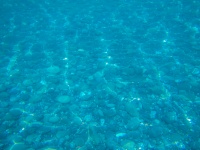Pebbles In Water