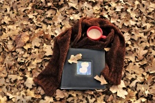 Photo Album And Coffee Cup In Fall