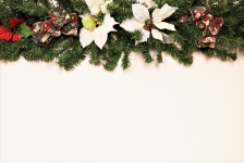 Poinsettia And Bows Background