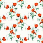 Poppy Flowers Watercolor Background