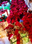 Presents And Poinsettias