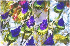 Purple Vine Flowers Background