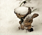 Rabbit Decoration In Snow