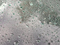Rain Drops Pattern Reflection
