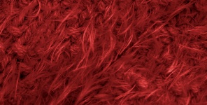Red Fluffy Wool Background
