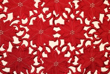 Red Poinsettia Design On White 2