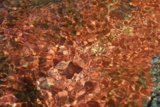 Red Rock Water Ripples
