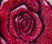 Rose Made Of Rose Petals