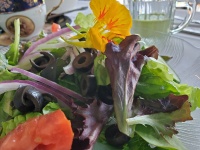Salad With A Flower Garnish