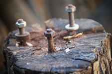 Screws & Bolts Turned Into Wood