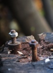 Screws And Bolts Turned Into Stump