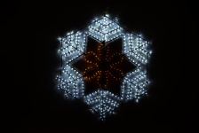 Snowflake In Light