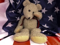 Teddy Bear Salute Flag