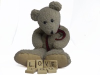 Teddy Bear Valentine Love